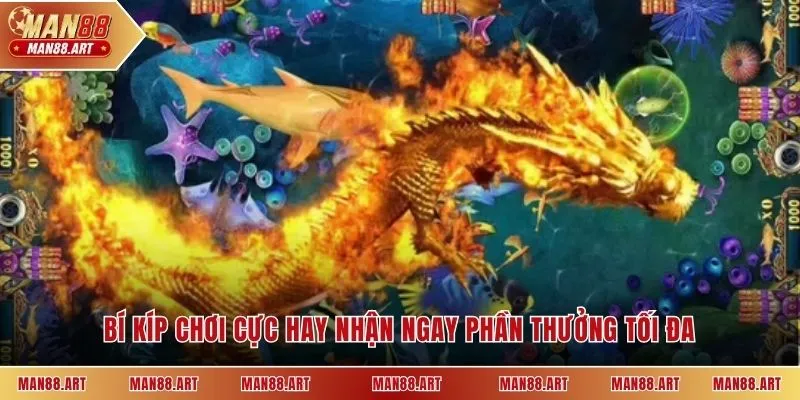 Bí kíp chơi cực hay nhận ngay phần thưởng tối đa