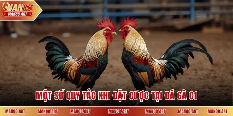 Một số quy tắc khi đặt cược tại đá gà C1
