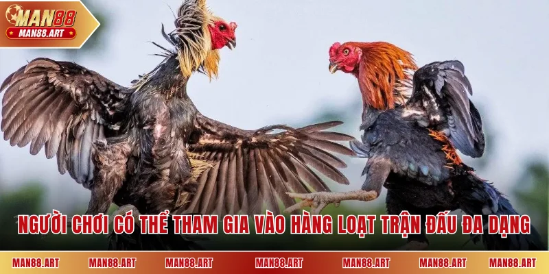 Người chơi có thể tham gia vào hàng loạt trận đấu đa dạng